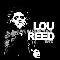 Reed  Lou - Live In New York 1972 in der Gruppe VINYL bei Bengans Skivbutik AB (1793750)