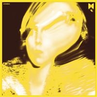 Segall Ty - Twins in der Gruppe VINYL bei Bengans Skivbutik AB (1793819)