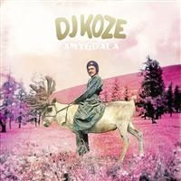 Dj Koze - Amygdala in der Gruppe UNSERE TIPPS / Beliebteste Neuheiten - Vinyl bei Bengans Skivbutik AB (1794036)
