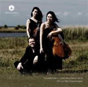 Trio Con Brio Copenhagen - Piano Trios in der Gruppe CD bei Bengans Skivbutik AB (1798343)