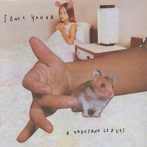Sonic Youth - Thousand Leaves (2Lp) in der Gruppe Minishops / Sonic Youth bei Bengans Skivbutik AB (1798422)