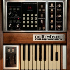 Bourne Matthew - Moogmemory in der Gruppe VINYL bei Bengans Skivbutik AB (1810321)