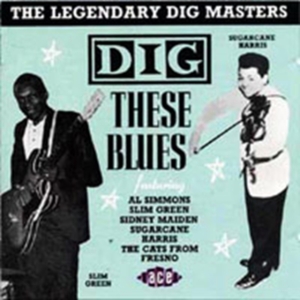 Various Artists - Dig These Blues in der Gruppe CD bei Bengans Skivbutik AB (1810749)