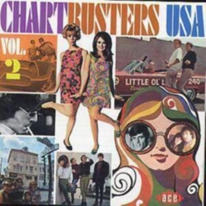 Various Artists - Chartbusters Usa Vol 2 in der Gruppe CD bei Bengans Skivbutik AB (1810980)