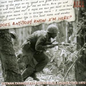 Various Artists - Does Anybody Know I'm Here? Vietnam in der Gruppe CD bei Bengans Skivbutik AB (1811207)
