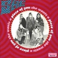 She - Wants A Piece Of You in der Gruppe CD / Pop-Rock bei Bengans Skivbutik AB (1811535)