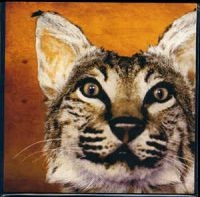 Greenhornes - Saying Goodbye in der Gruppe VINYL bei Bengans Skivbutik AB (1816073)