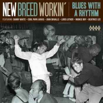 Various Artists - New Breed Workin'Blues With A Rhyt in der Gruppe CD / Bestseller bei Bengans Skivbutik AB (1817894)