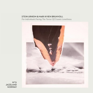 Stein & Mari - For Individuals Facing The Terror O in der Gruppe VINYL bei Bengans Skivbutik AB (1836754)