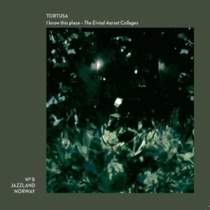 Tortusa - I Know This Place (The Aarset Colla in der Gruppe CD bei Bengans Skivbutik AB (1836768)