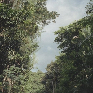 Nelson Zac - New Once in der Gruppe VINYL bei Bengans Skivbutik AB (1842331)