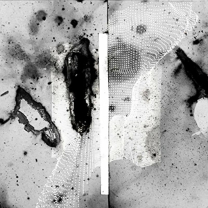 Certain Creatures - Vipassana in der Gruppe VINYL bei Bengans Skivbutik AB (1842334)