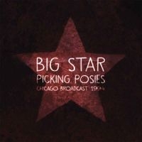 Big Star - Picking Posies in der Gruppe VINYL / Pop-Rock bei Bengans Skivbutik AB (1847673)