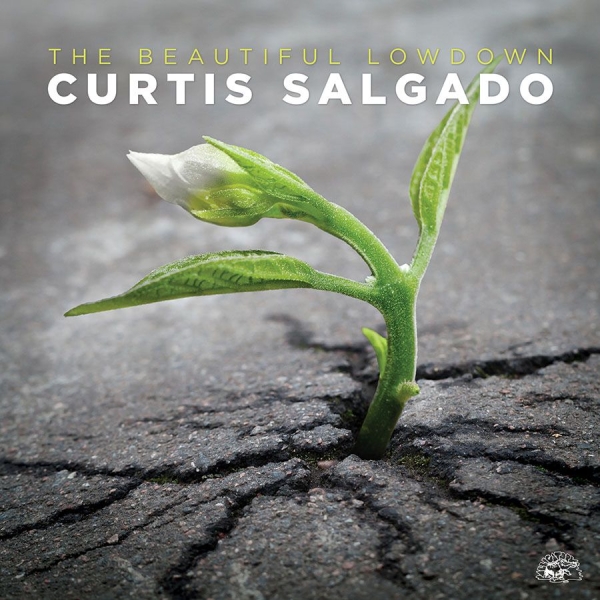 Salgado Curtis - Beautiful Lowdown in der Gruppe CD / Bestseller bei Bengans Skivbutik AB (1868256)
