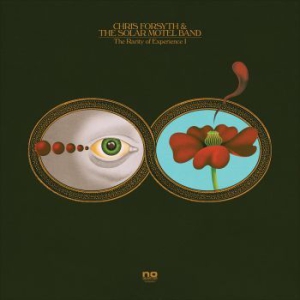 Chris Forsyth & The Solar Motel Ban - The Rarity Of Experience in der Gruppe VINYL bei Bengans Skivbutik AB (1868273)
