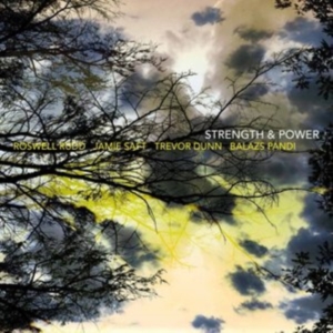 Rudd Roswell Jamie Saft. Trevor Du - Strength & Power in der Gruppe CD bei Bengans Skivbutik AB (1868485)