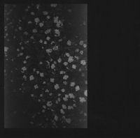 Kåsa Ottar - Kjoskruller in der Gruppe CD bei Bengans Skivbutik AB (1868511)