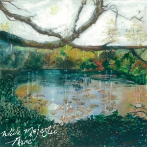 Trembling Bells - Wide Majestic Aire in der Gruppe VINYL bei Bengans Skivbutik AB (1874309)