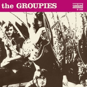 Groupies - Down In The Bottom +1 in der Gruppe UNSERE TIPPS / Klassiska lablar / Sundazed / Sundazed Vinyl bei Bengans Skivbutik AB (1876409)