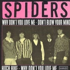 Spiders The - Why Don't You Love Me / Hitch Hike in der Gruppe UNSERE TIPPS / Klassiska lablar / Sundazed / Sundazed Vinyl bei Bengans Skivbutik AB (1876471)