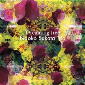 Nst - Naoko Sakata Trio - Dreaming Tree in der Gruppe CD bei Bengans Skivbutik AB (1877576)
