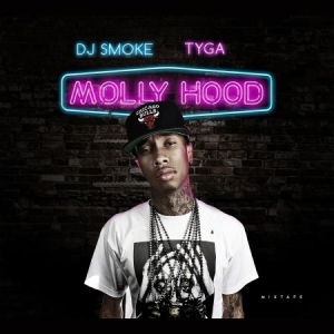 Tyga - Molly Hood Mixtape in der Gruppe CD bei Bengans Skivbutik AB (1877605)