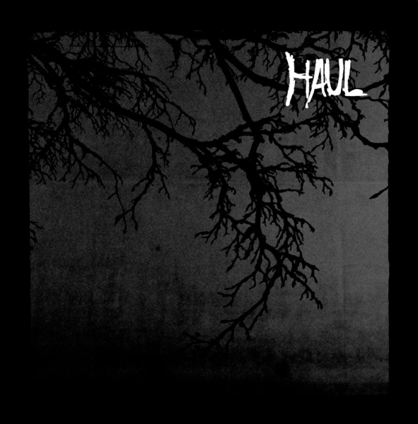 Haul - Seperation in der Gruppe VINYL / Rock bei Bengans Skivbutik AB (1878761)