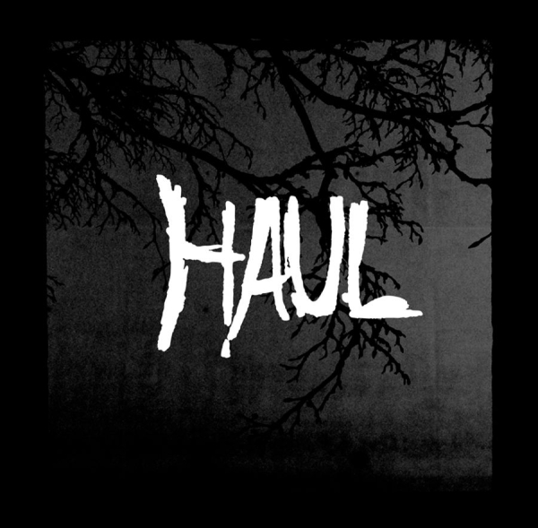 Haul - Seperation in der Gruppe CD / Pop bei Bengans Skivbutik AB (1878764)