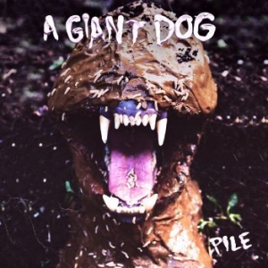 A Giant Dog - Pile in der Gruppe VINYL bei Bengans Skivbutik AB (1900062)
