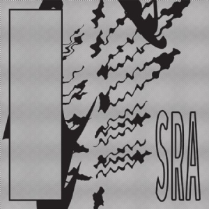 Silk Road Assassins - Reflection Spaces in der Gruppe VINYL bei Bengans Skivbutik AB (1902778)