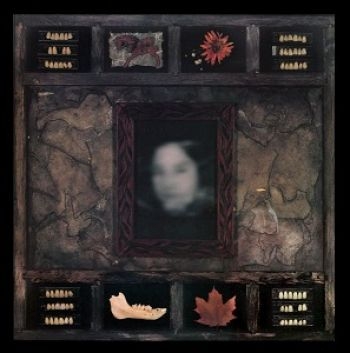 Dazzling Killmen - Face Of Collapse in der Gruppe CD / Bestseller bei Bengans Skivbutik AB (1907983)