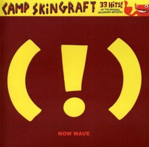 Blandade Artister - Camp Skin Graft: Now Wave in der Gruppe CD / Pop-Rock bei Bengans Skivbutik AB (1908012)