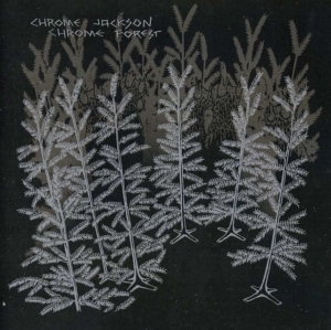 Chrome Jackson - Chrome Forest in der Gruppe CD bei Bengans Skivbutik AB (1908067)