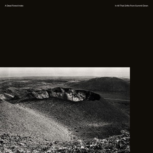 A Dead Forest Index - In All That Drifts From Summit Down in der Gruppe CD / Bestseller bei Bengans Skivbutik AB (1908203)