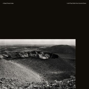 A Dead Forest Index - In All That Drifts From Summit Down in der Gruppe VINYL bei Bengans Skivbutik AB (1908204)