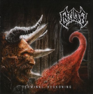 Insision - Terminal Reckoning in der Gruppe CD bei Bengans Skivbutik AB (1909968)