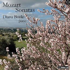 Mozart W A - Piano Sonatas in der Gruppe Externt_Lager / Naxoslager bei Bengans Skivbutik AB (1911011)