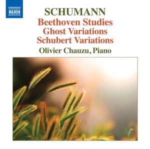 Beethoven / Schumann - Beethoven Studies in der Gruppe CD bei Bengans Skivbutik AB (1911040)
