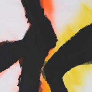 Mazurek Rob & Emmett Kelly - Alien Flower Sutra in der Gruppe CD bei Bengans Skivbutik AB (1912505)