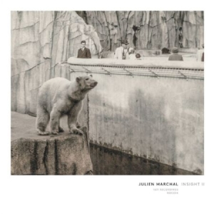Marchal Julien - Insight Ii in der Gruppe CD bei Bengans Skivbutik AB (1914794)