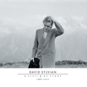 David Sylvian - A Victim Of Stars 1981-2011 (2CD) in der Gruppe CD bei Bengans Skivbutik AB (1921421)