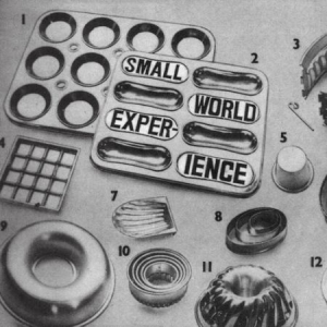 Small World Experience - Shelf-Life in der Gruppe VINYL bei Bengans Skivbutik AB (1925853)