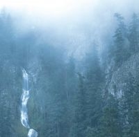Wolves In The Throne Room - Diadem Of 12 Stars in der Gruppe VINYL bei Bengans Skivbutik AB (1925857)