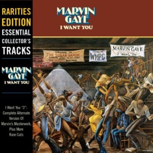 Marvin Gaye - I Want You (Vinyl) in der Gruppe VINYL / Pop-Rock bei Bengans Skivbutik AB (1927424)