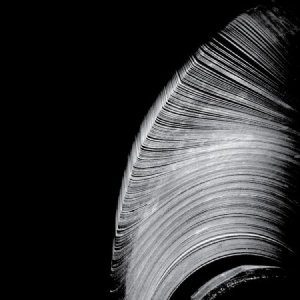 Near The Parenthesis - Helical in der Gruppe VINYL bei Bengans Skivbutik AB (1931747)