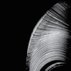 Near The Parenthesis - Helical in der Gruppe CD bei Bengans Skivbutik AB (1931748)