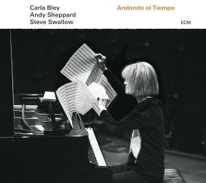 Carla Bleysteve Swallowandy Shepp - Andando El Tiempo in der Gruppe CD bei Bengans Skivbutik AB (1946655)