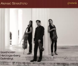 Beethoven / Dohnányi / Herzogenberg - String Trios in der Gruppe CD bei Bengans Skivbutik AB (1947618)