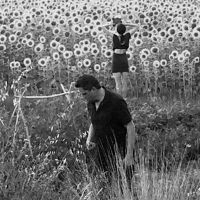 Jesu/Sun Kil Moon - Jesu/Sun Kil Moon in der Gruppe VINYL bei Bengans Skivbutik AB (1947641)