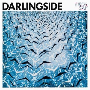 Darlingside - Birds Say in der Gruppe CD bei Bengans Skivbutik AB (1951418)